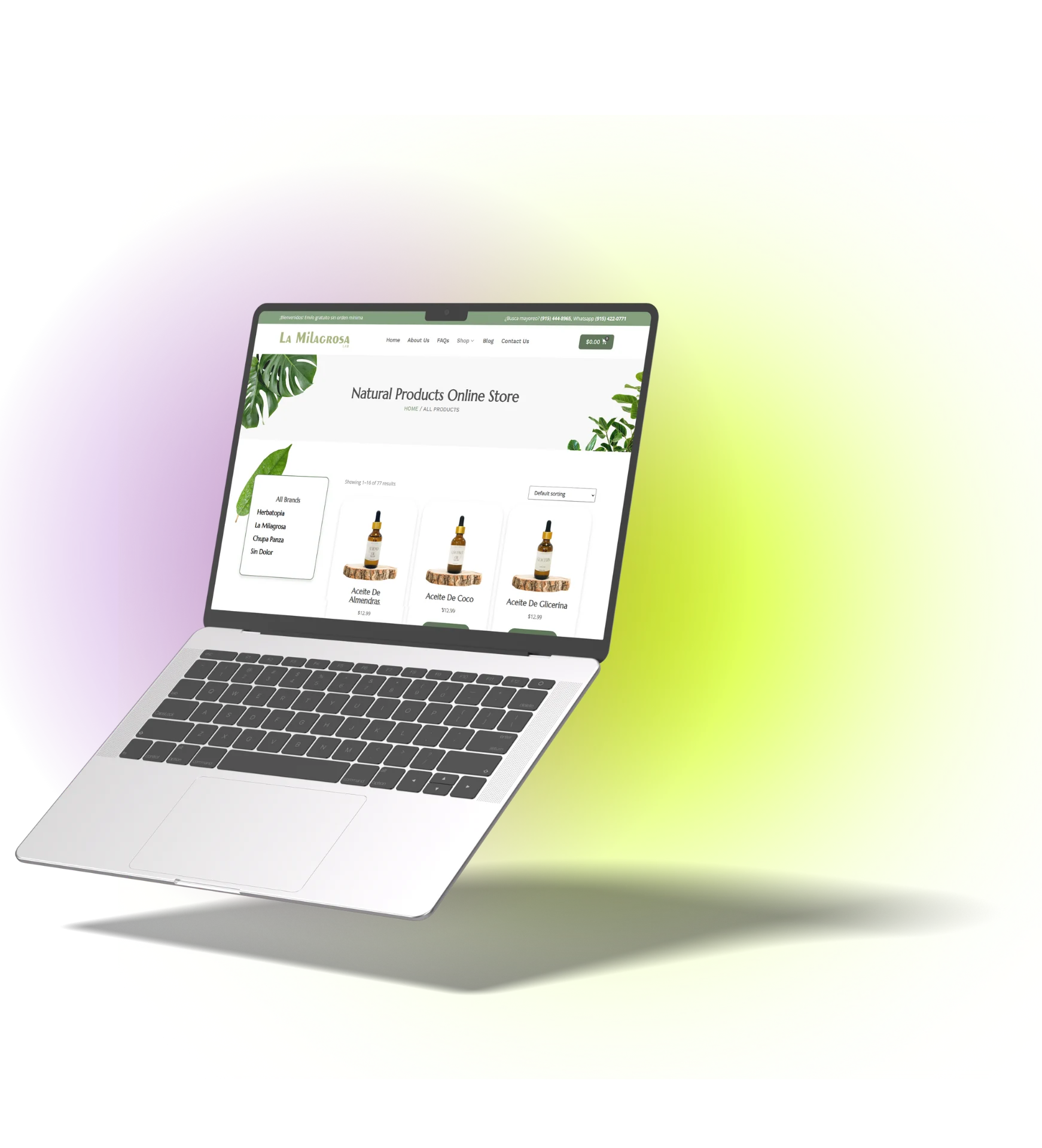 eCommerce Websites
